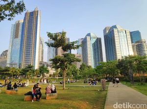 Cara ke Hutan Kota GBK: Jam Buka dan Fasilitasnya Cara ke Hutan Kota GBK: Jam Buka dan Fasilitasnya