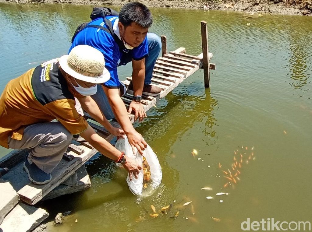Saluran Irigasi Ini Disulap Jadi Kolam Ikan Konsep Edutechnopreneur Saluran Irigasi Ini Disulap Jadi Kolam Ikan Konsep Edutechnopreneur