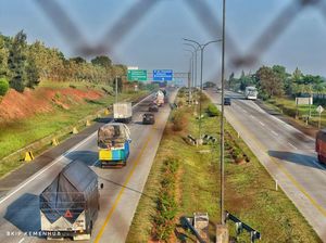 Video Satgas Ingatkan Lonjakan Kasus COVID di Long Weekend