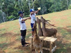 Serang Punya Wisata Agro Keren