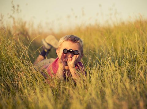 A young boy is looking through binoculars while hiding in the tall grass of an English field. He could be spying on or searching for something newsworthy. Image taken in the sunset light and with shallow depth of field.
