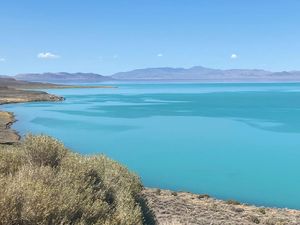 Air Danau di Nevada Berubah Jadi Toska, Kok Bisa?