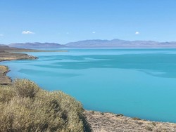 Air Danau di Nevada Berubah Jadi Toska, Kok Bisa?