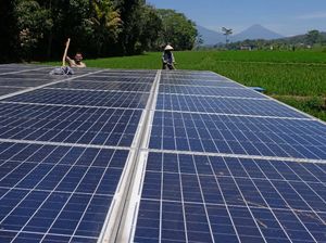 Airlangga Ungkap Perintah Prabowo Bangun PLTS di 80 Ribu Desa