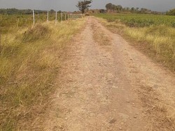 Alasan Ivan Gunawan Bisnis Kuliner hingga Ojol Antar Thai Tea ke Lokasi Terpencil