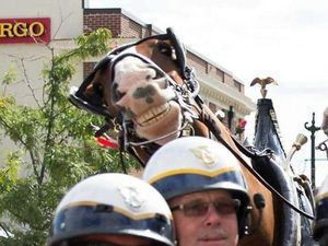 Foto Hewan di Belakang Orang yang Bikin Salah Fokus, Ngakak Abis!