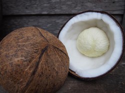 5 Khasiat Kentos Kelapa, Menyehatkan Mata dan Jantung