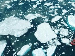 Lapisan Es Greenland Mencair dalam Skala Belum Pernah Terjadi Sebelumnya