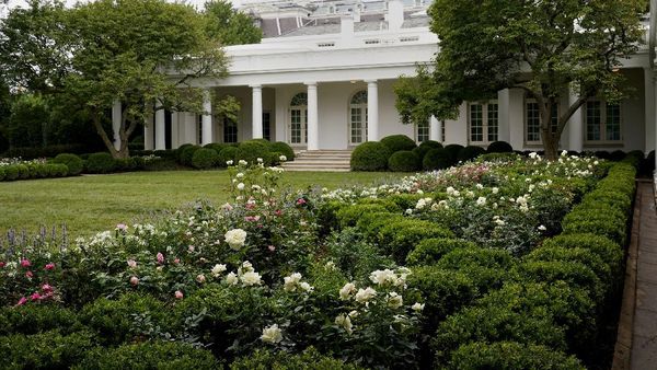 Foto Before-After Taman Gedung Putih Buatan Melania Trump, Netizen Nyinyir