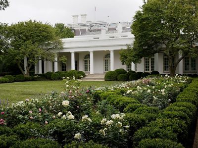 Foto Before-After Taman Gedung Putih Buatan Melania Trump, Netizen Nyinyir