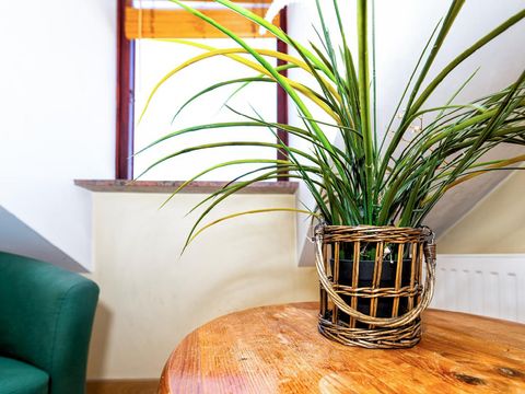 Closeup of window in loft with table and potted plant in bedroom home apartment hotel room and nobody