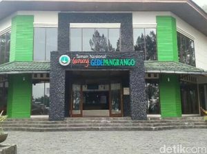 Hei Pendaki Gunung Gede Pangrango, Jangan Buang Sampah Sembarangan!