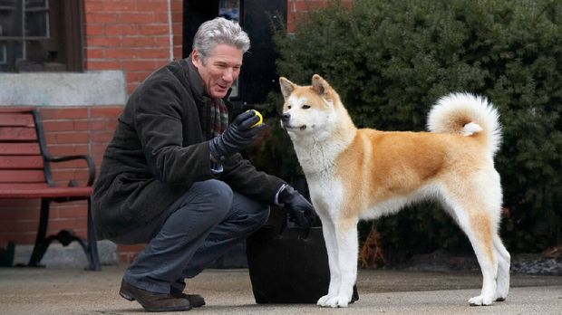 Hachi: A Dog's Tale Hachi: A Dog's Tale