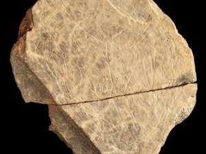 Karya Seni Paling Awal di Inggris Ditemukan, Begini Penampakannya