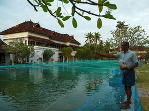 Kolam Renang di Resor Mewah Ini Jadi Kolam Ikan Bintik Mutiara