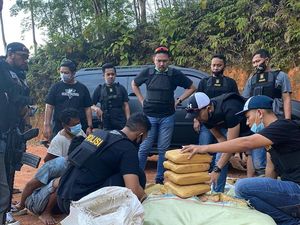 Polres Jakbar Bongkar Penyelundupan Ratusan Kilo Ganja di Sumbar