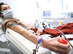 Terapi Plasma Disebut Tak Efektif Tekan Kematian COVID-19, Ini Hasil Studinya