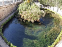 Pulau yang Katanya Punya Mata Air Dewa