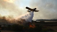 Kebakaran Kini Landa Lahan di Argentina