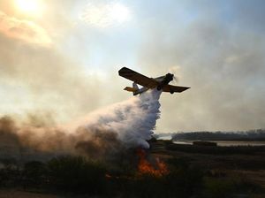 Kebakaran Kini Landa Lahan di Argentina