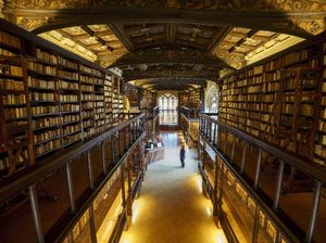 Asyik, Perpustakaan Paling Populer di Dunia Sudah Buka Lagi