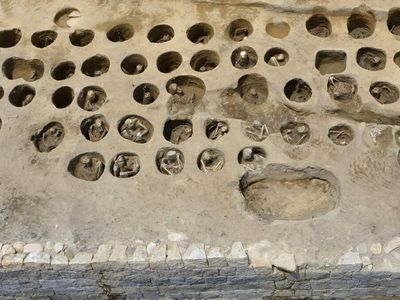 Potret Ribuan Tengkorak Manusia di Kuburan Massal Kuno Jepang