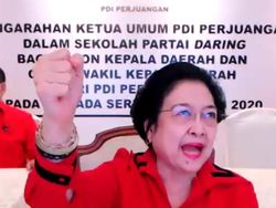 Megawati Sebut Akhyar Ngamuk karena Tak Direkomendasikan