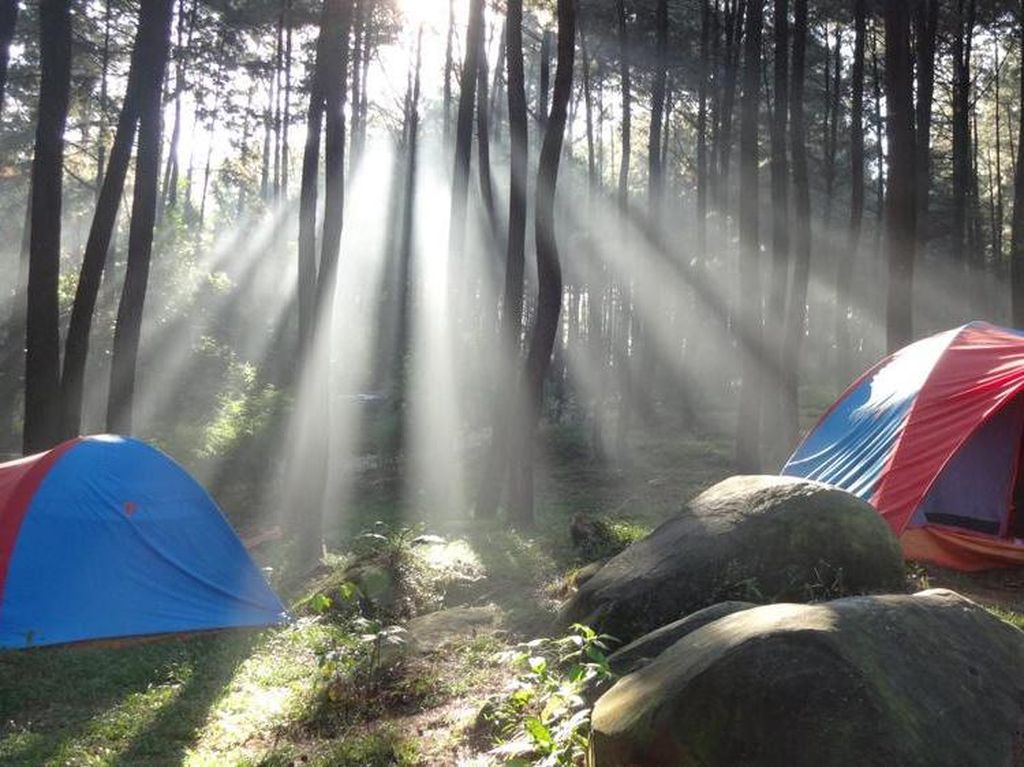 Mau Kemping di Gunung Pancar Bogor, Ini Tarif Tiket dan Fasilitasnya Mau Kemping di Gunung Pancar Bogor, Ini Tarif Tiket dan Fasilitasnya