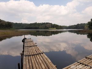 Musim Kemarau, Debit Air Situ Sanghyang Tasikmalaya Surut