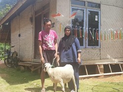 Domba yang Dipakai Warga Garut Bayar kWh Listrik Rusak Dikembalikan