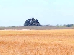 Letusan Kawah Oro-oro Kesongo, Fakta dan Legenda Tragis di Baliknya