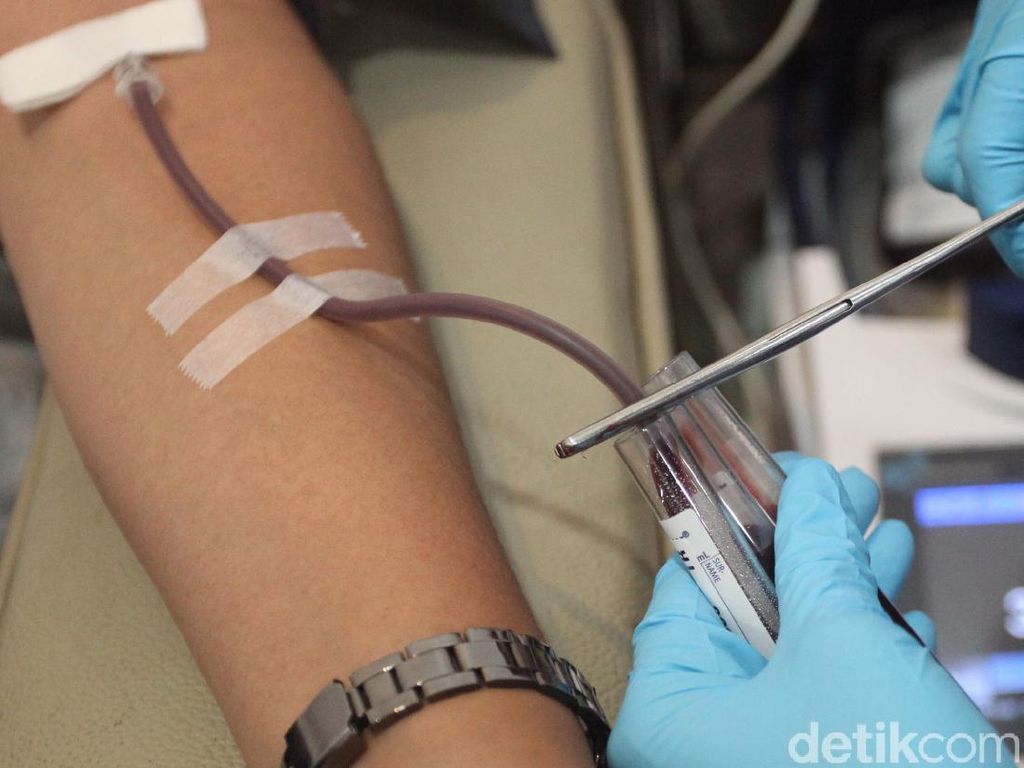 Fakta-fakta Golongan Darah O yang Disebut lebih Kebal Corona Fakta-fakta Golongan Darah O yang Disebut lebih Kebal Corona