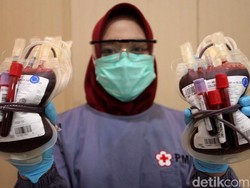 Stok Darah PMI Jogja-Sleman, Cek di Sini
