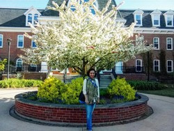 Saat Sakura Mekar di Kanada