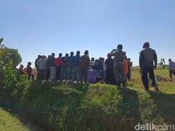 2 Kelompok Warga di Probolinggo Nyaris Bentrok Gegara Sawah Sengketa