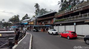 Potret Sisi Lain Tegallalang Bali