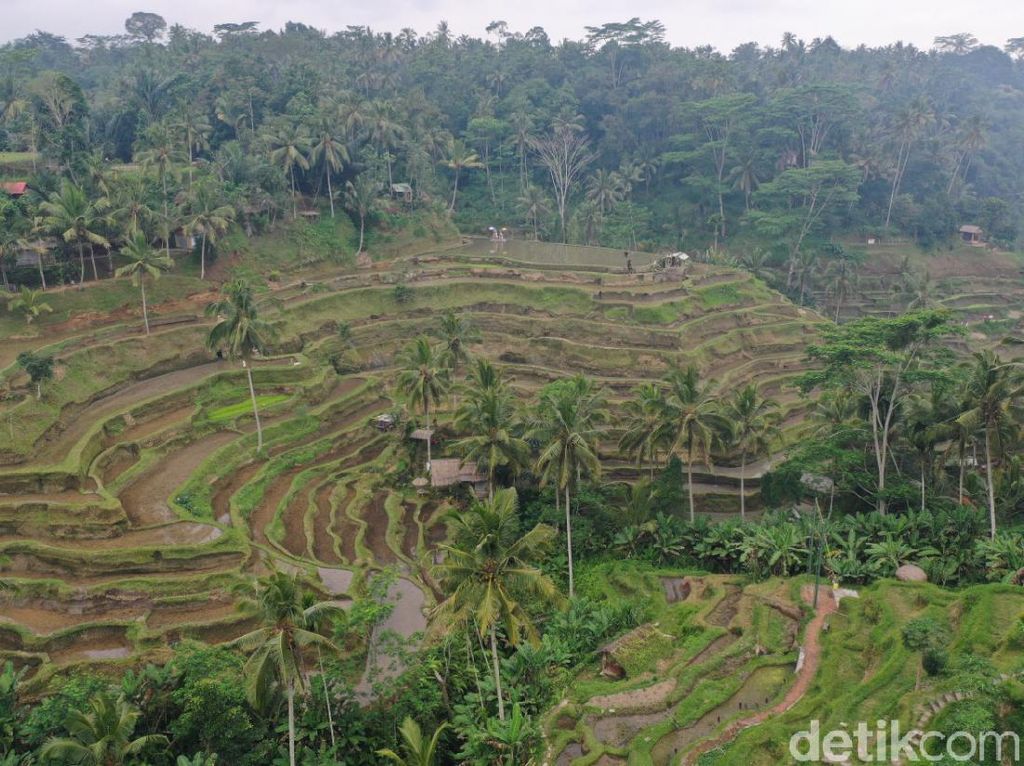 10 Keindahan dan Pemandangan Alam Indonesia yang Memukau