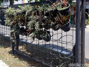 Waduh! Pot Tanaman di Kawasan Wisata Ini Hilang Dicuri Waduh! Pot Tanaman di Kawasan Wisata Ini Hilang Dicuri