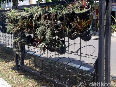 Waduh! Pot Tanaman di Kawasan Wisata Ini Hilang Dicuri