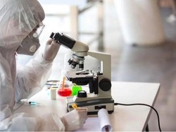 Jahe Merah Segera Diuji sebagai Immunomodulator COVID-19