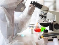 Jahe Merah Segera Diuji sebagai Immunomodulator COVID-19