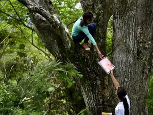 Cerita 2 Gadis Harus Daki Gunung dan Panjat Pohon Demi Kuliah Online Cerita 2 Gadis Harus Daki Gunung dan Panjat Pohon Demi Kuliah Online