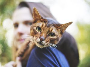 Ini Rasanya Melihat dengan Mata Hewan Ini Rasanya Melihat dengan Mata Hewan