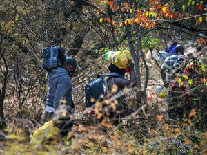 Imbas Larangan Penjualan Tembakau, Penyelundupan Rokok di Afsel Ramai