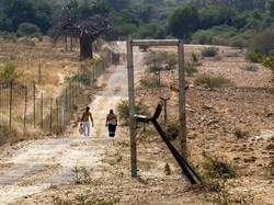 Afrika Selatan Akan Buka Perbatasan ke Sebagian Negara pada 1 Oktober