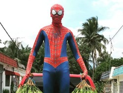 Viral Spider-Man Jualan Petai Pakai Mobil Sedan