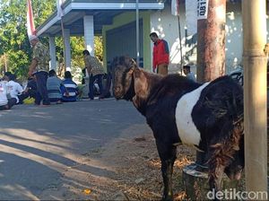 Video Warga Madiun Sembelih Kambing Tolak Bala-Usir Corona