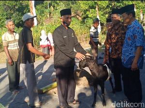 Warga Madiun Tolak Bala dan Usir COVID-19 dengan Sembelih Kambing Kendit