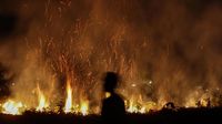 Waspada! Lahan di Riau Kembali Membara