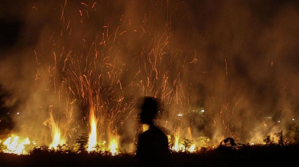 Waspada! Lahan di Riau Kembali Membara